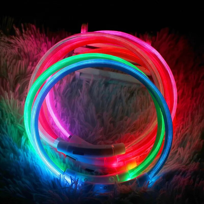 Dog Glowing Detachable Collar