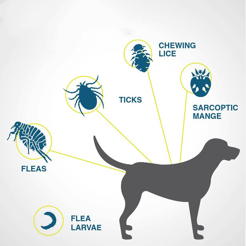 Ring flea and tick prevention collar