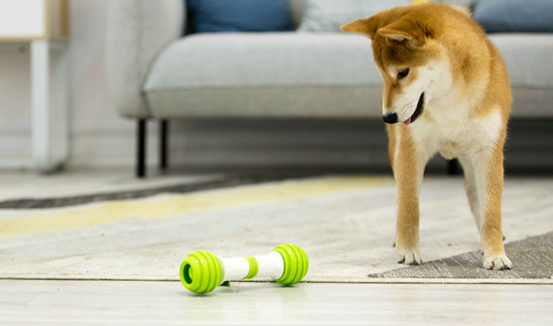 Bone Electric Automatic Dog Toy