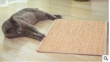 Cat Sisal Scratch Pad