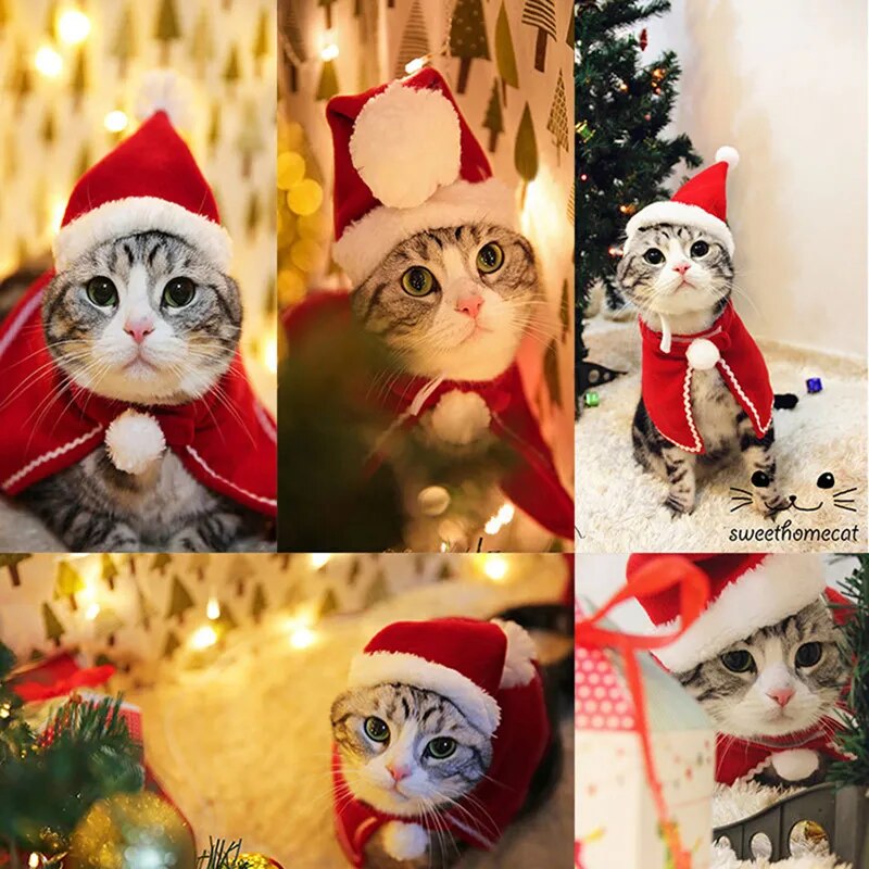 Christmas Cat Costume