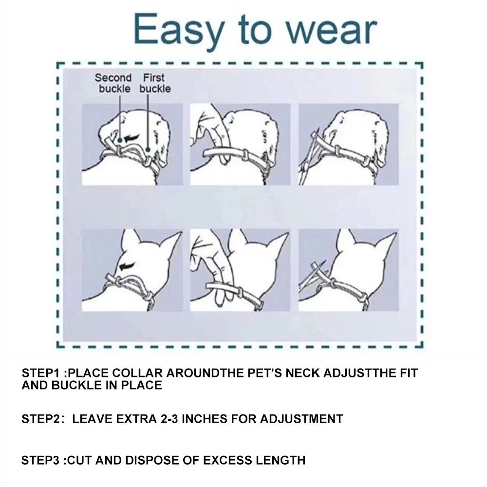 Pet Flea Collar