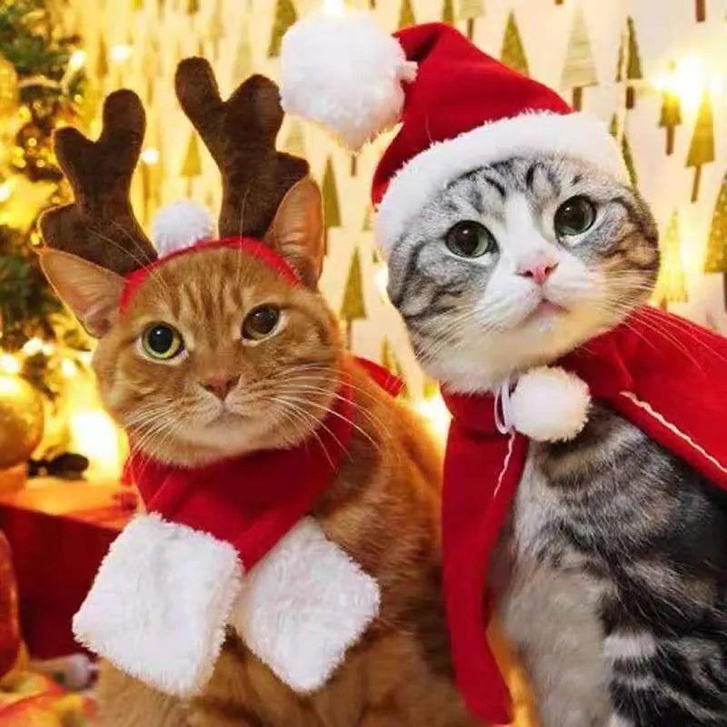 Christmas Cat Costume