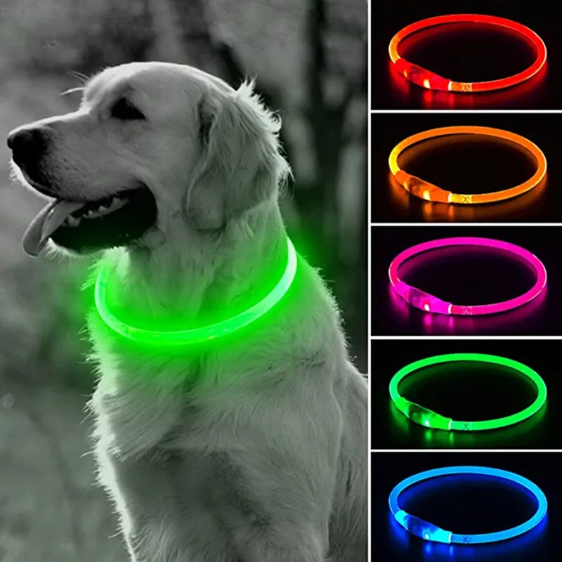 Dog Glowing Detachable Collar