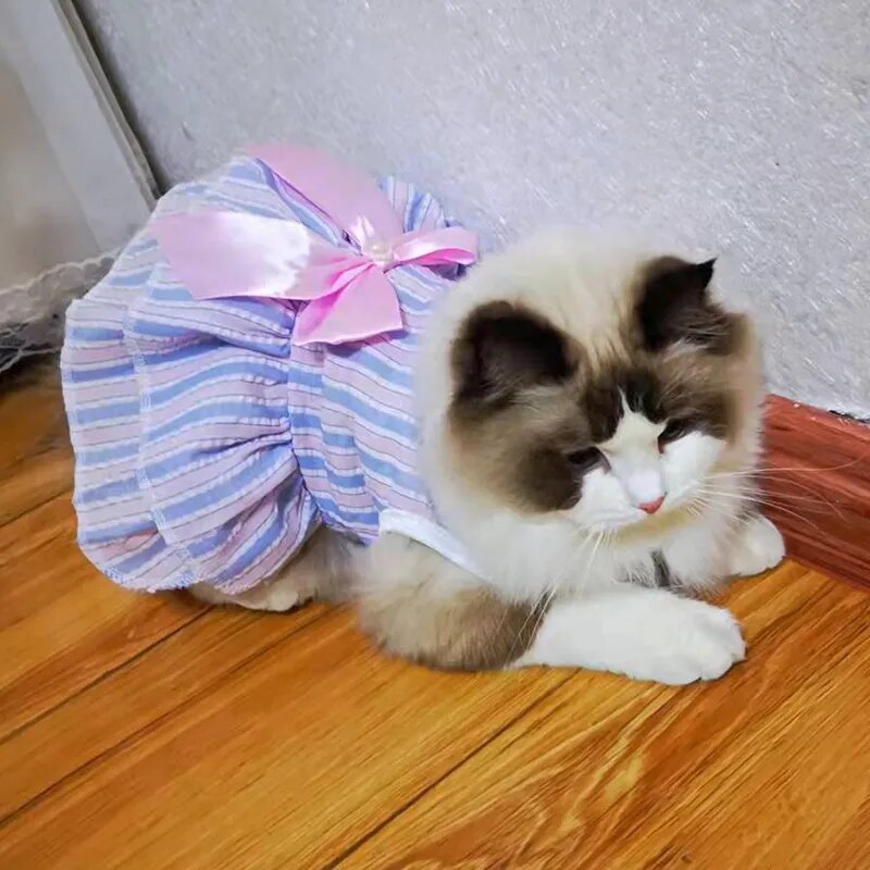 Cat Puppy Princess Dress