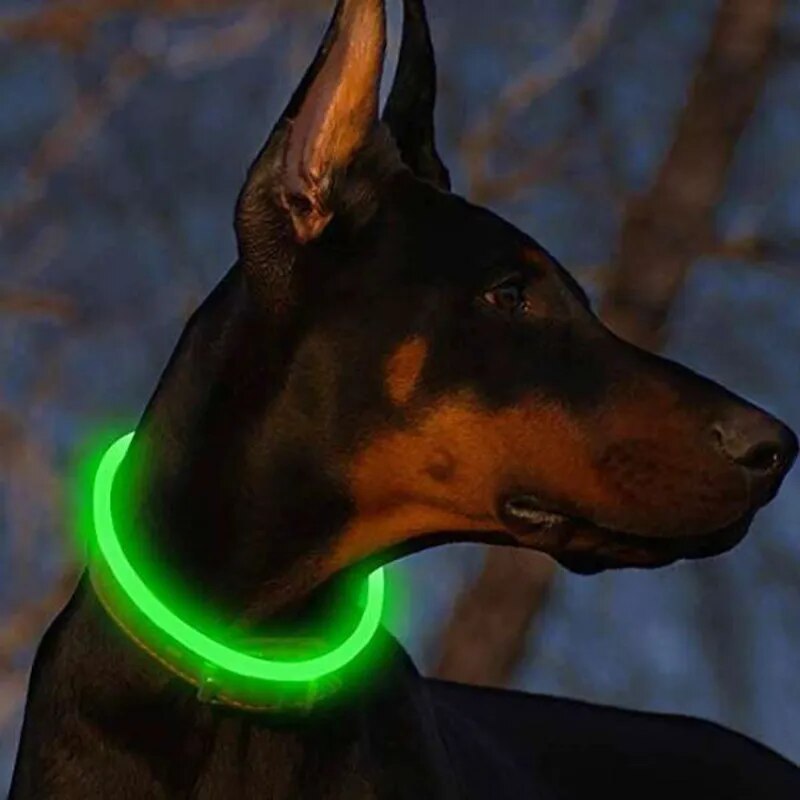 Dog Glowing Detachable Collar