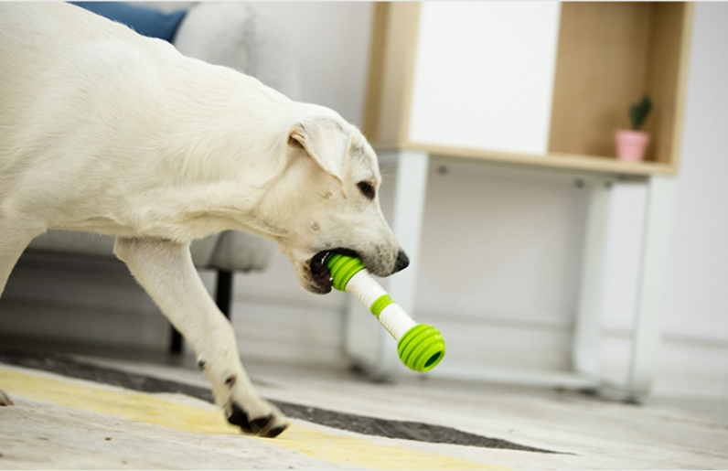 Bone Electric Automatic Dog Toy